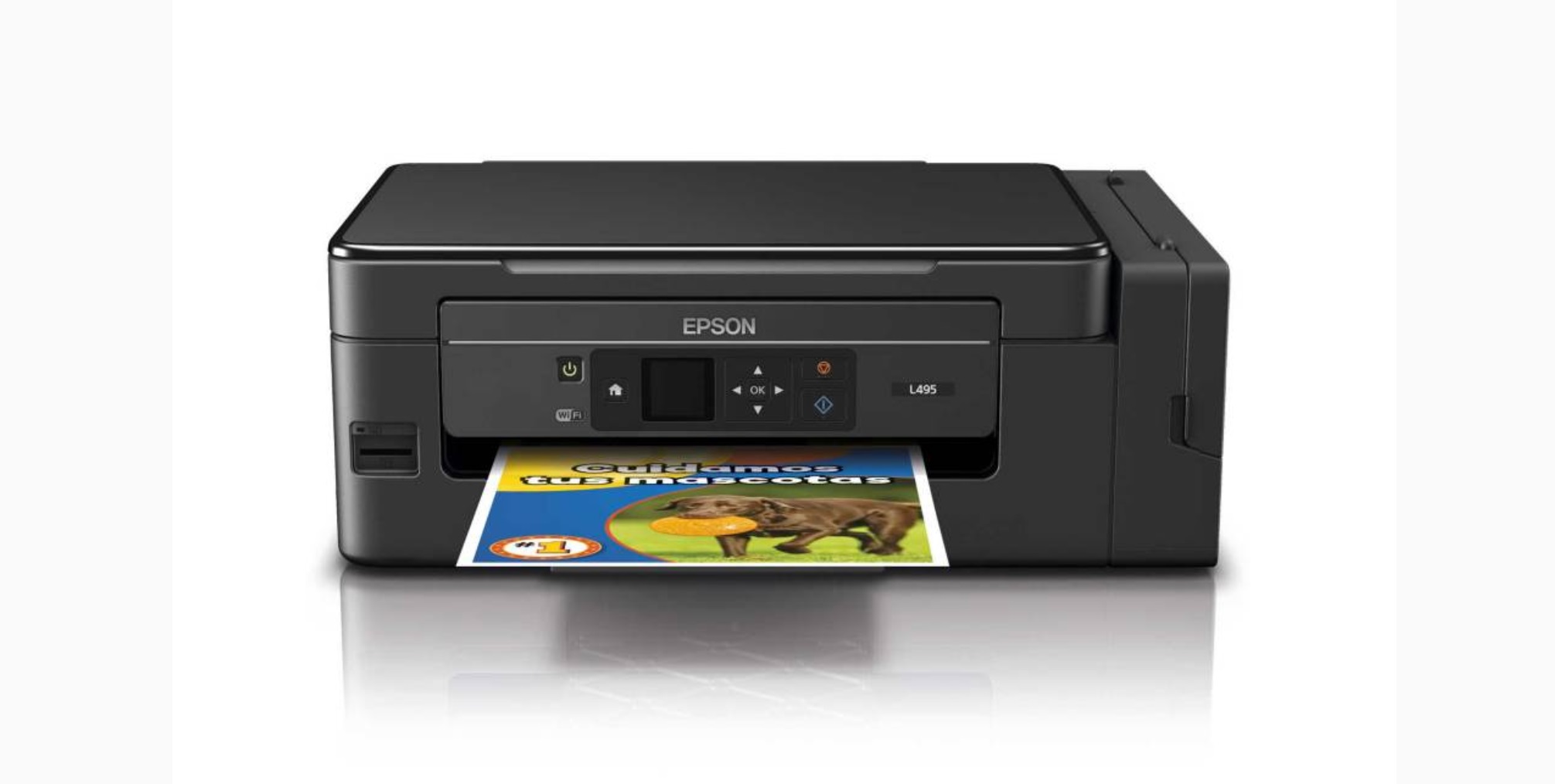 Epson L495 Installer